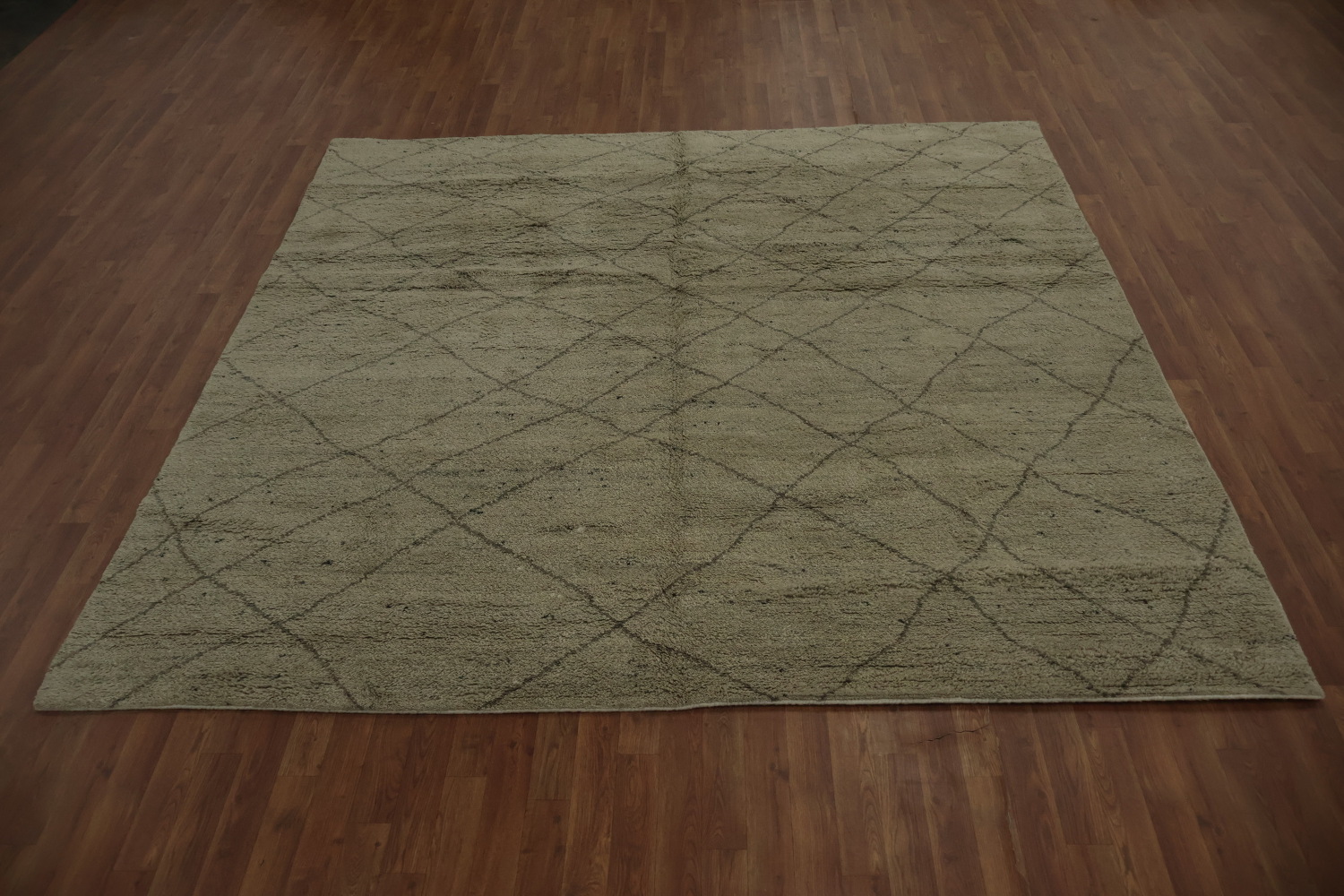 Trellis Moroccan Indian Area Rug 9x9