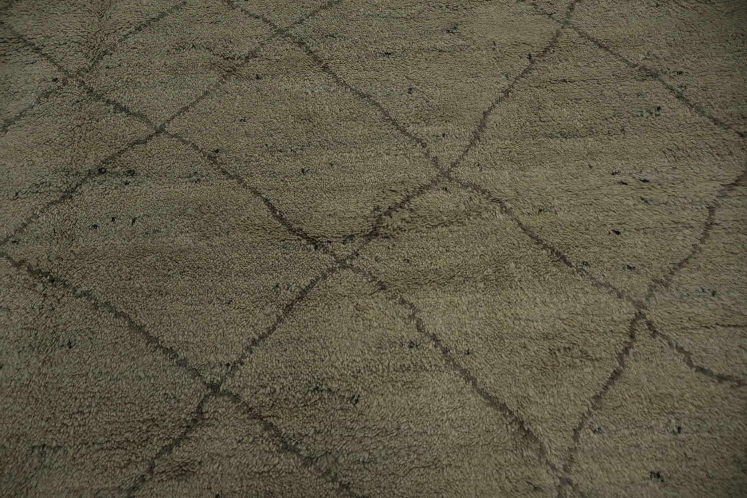 Trellis Moroccan Indian Area Rug 9x9