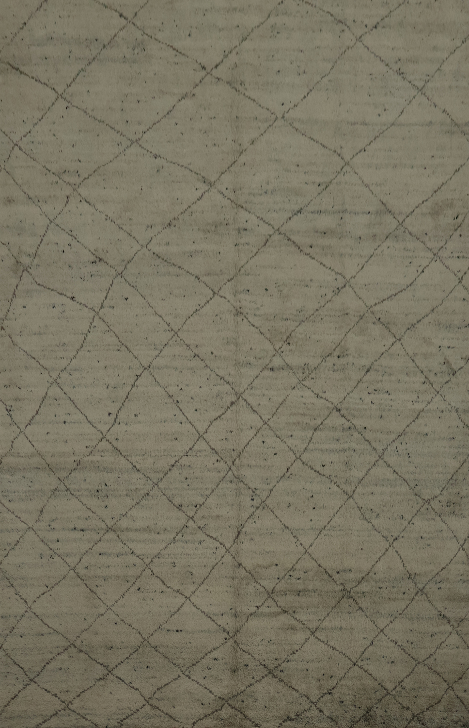 Trellis Moroccan Indian Area Rug 9x12