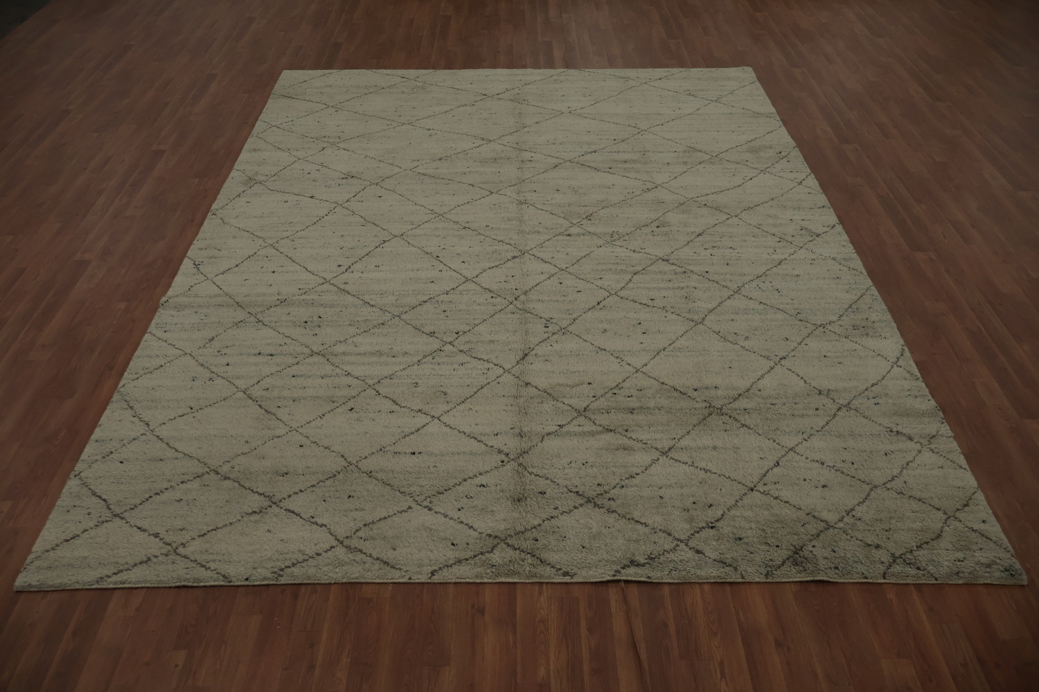 Trellis Moroccan Indian Area Rug 9x12