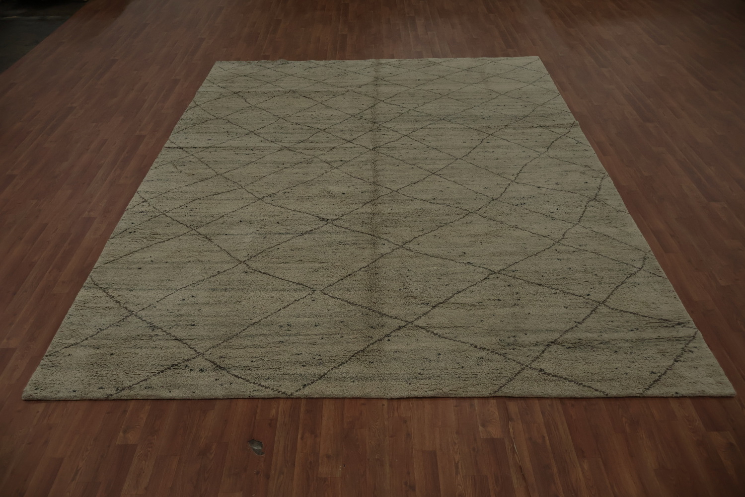 Trellis Moroccan Indian Area Rug 9x12