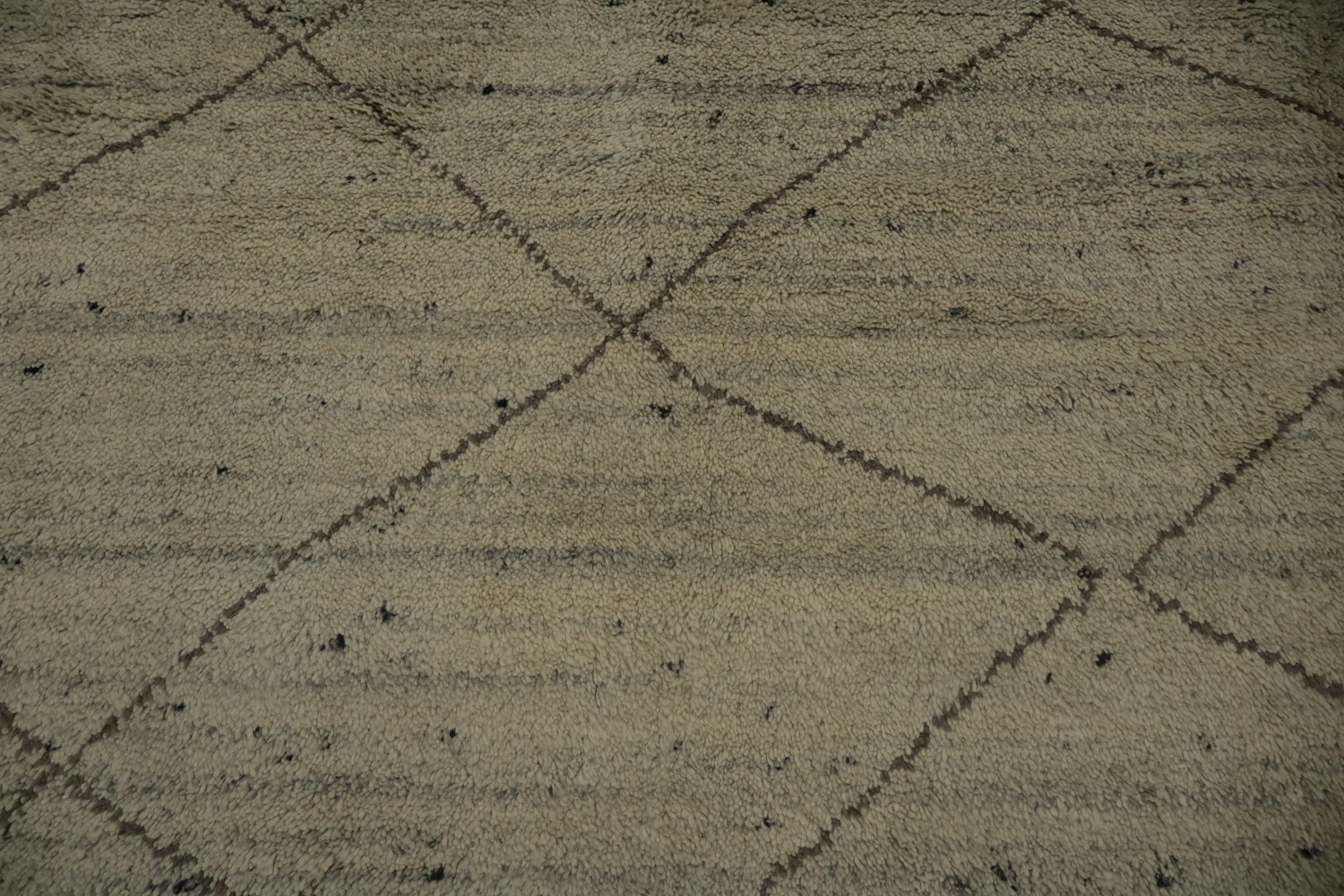 Trellis Moroccan Indian Area Rug 9x12