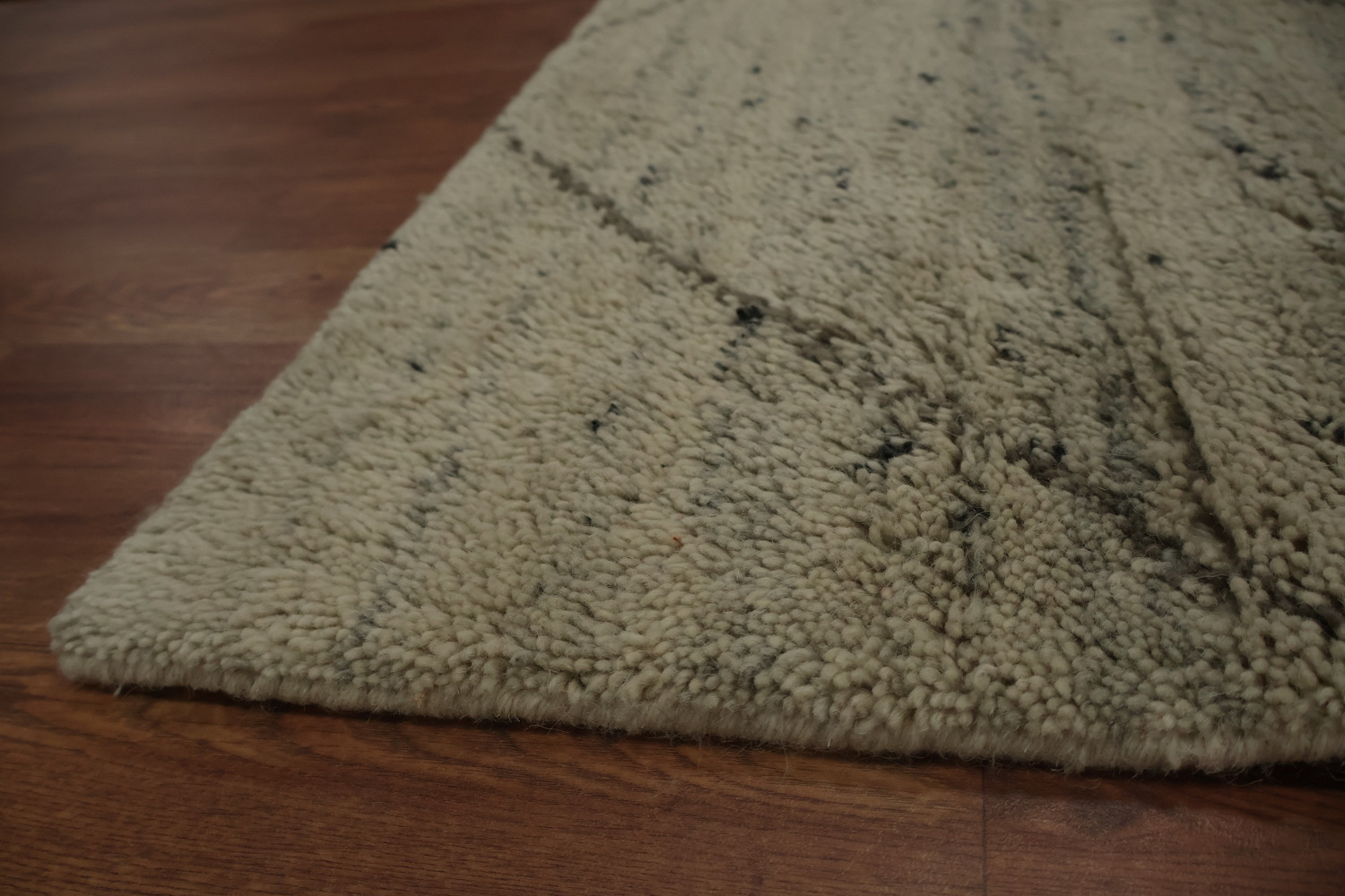 Trellis Moroccan Indian Area Rug 9x12