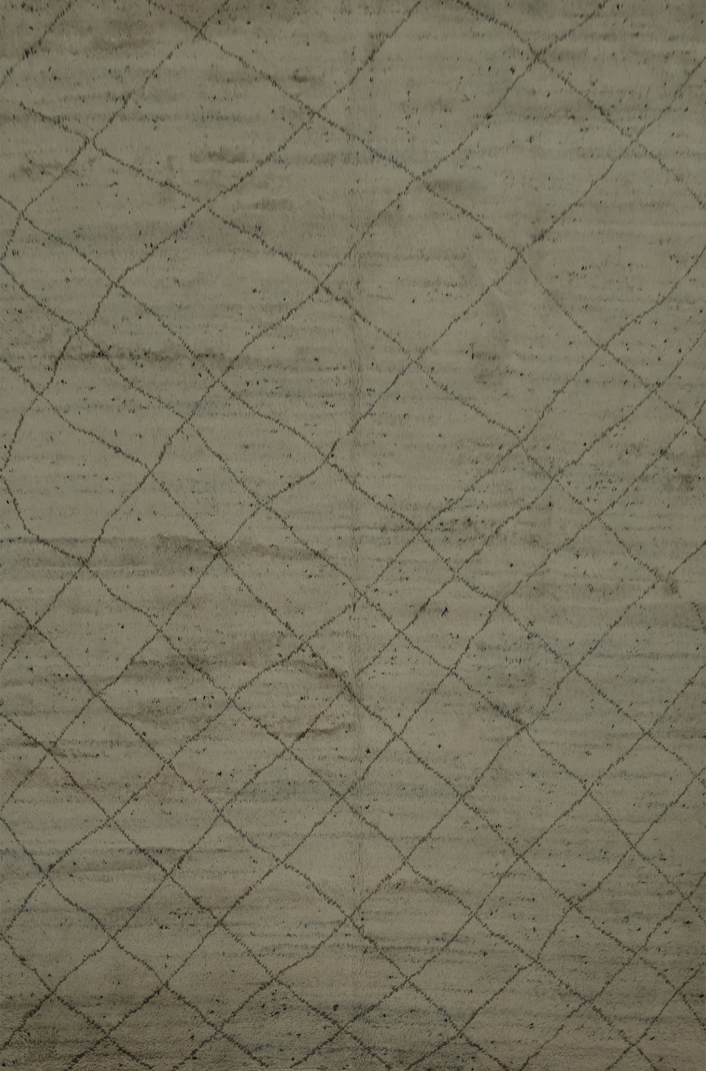 Trellis Wool Moroccan Indian Area Rug 9x12