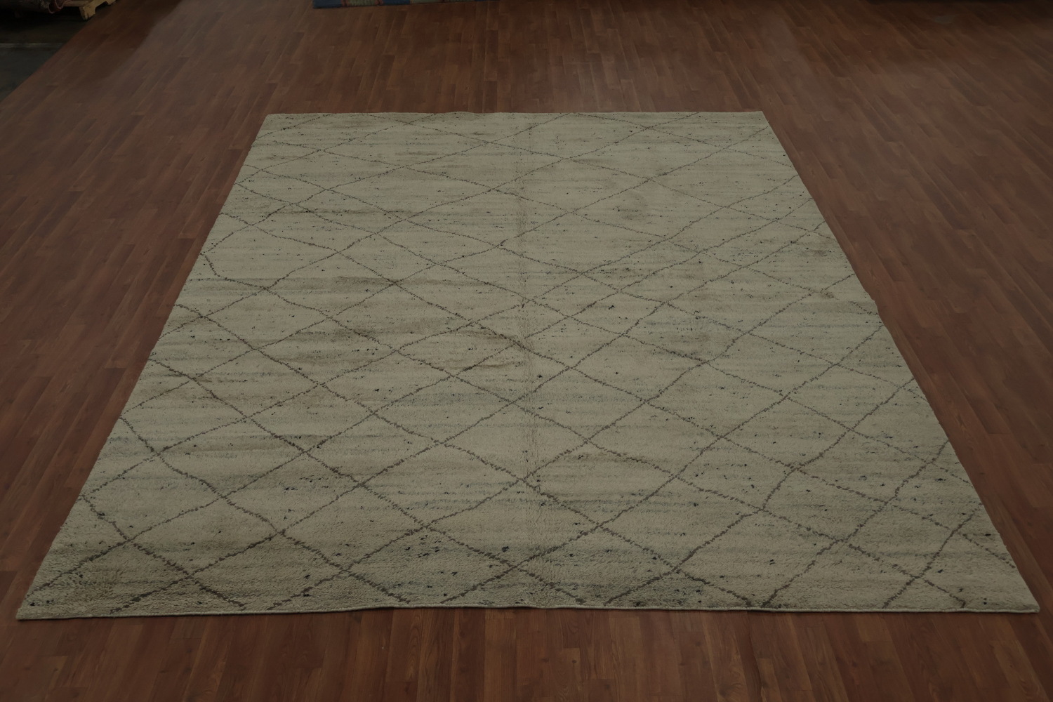 Trellis Wool Moroccan Indian Area Rug 9x12