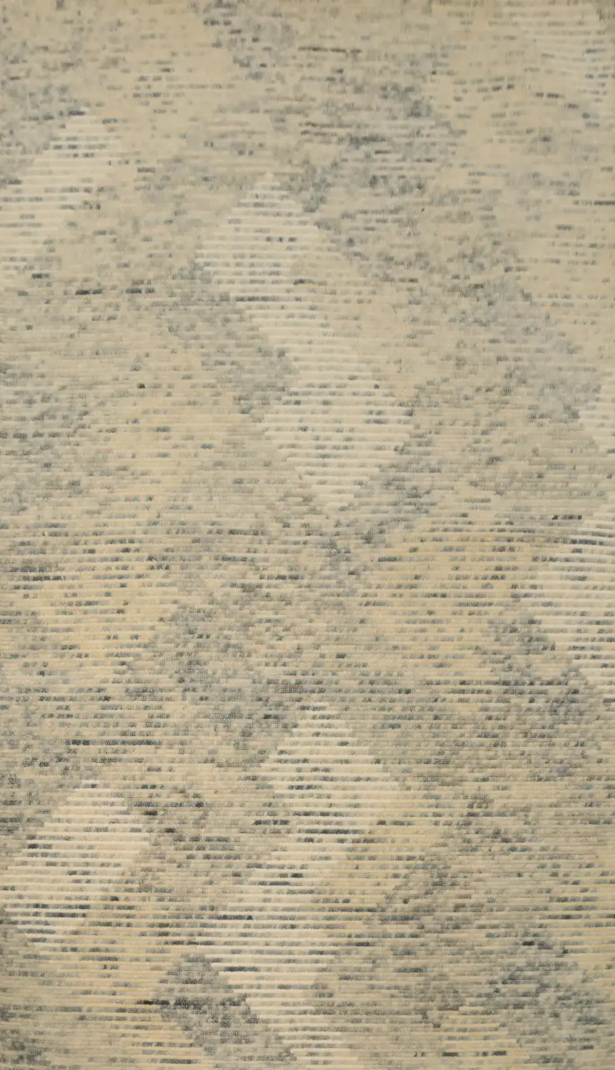 Chic and Sophisticated Area Rug 5x8 with Gentle Abstract Designs