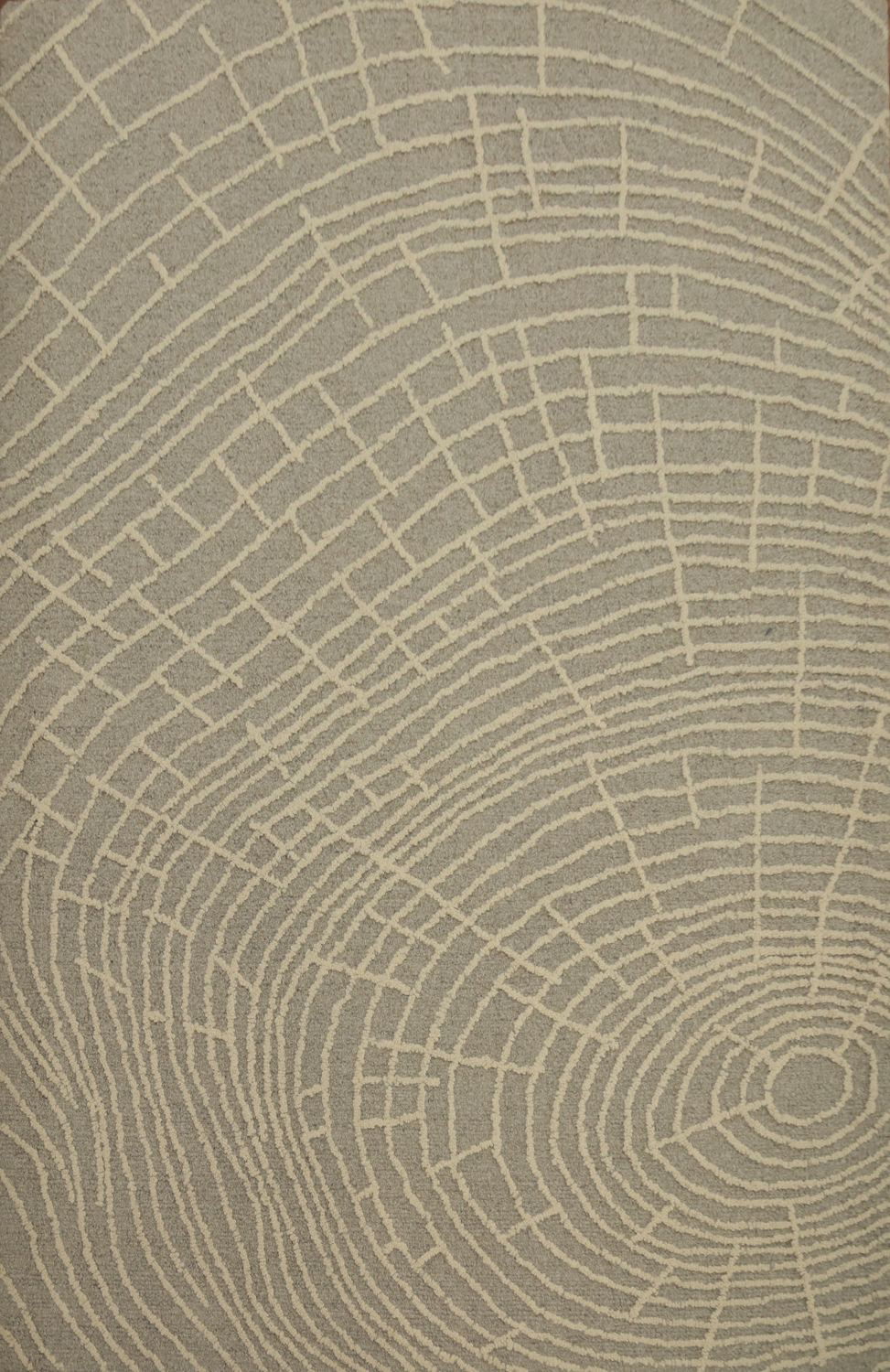 Modern Spiral Design Rug 5x7 in Soft Grey Tones for Any Room