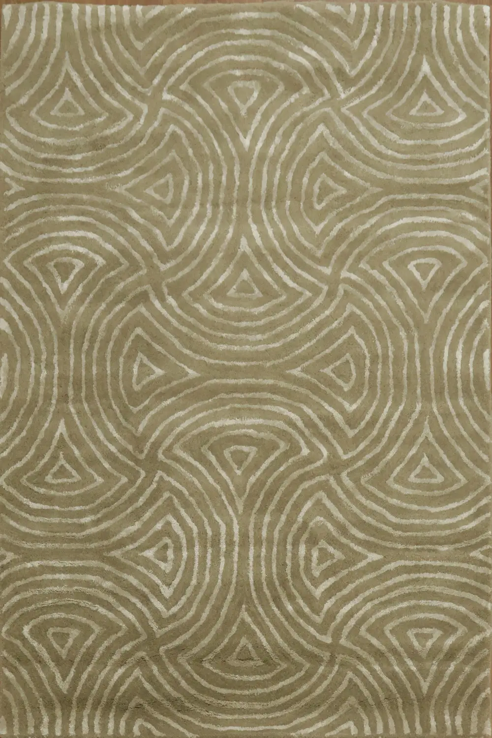 Modern Geometric Design Rug with Earthy Tones 4x6