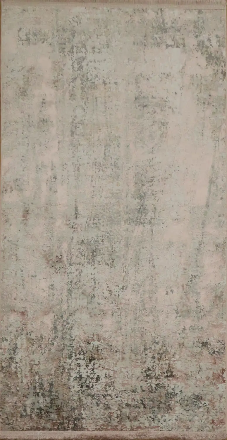 Contemporary Distressed Rug in Soft Earthy Shades 3x5