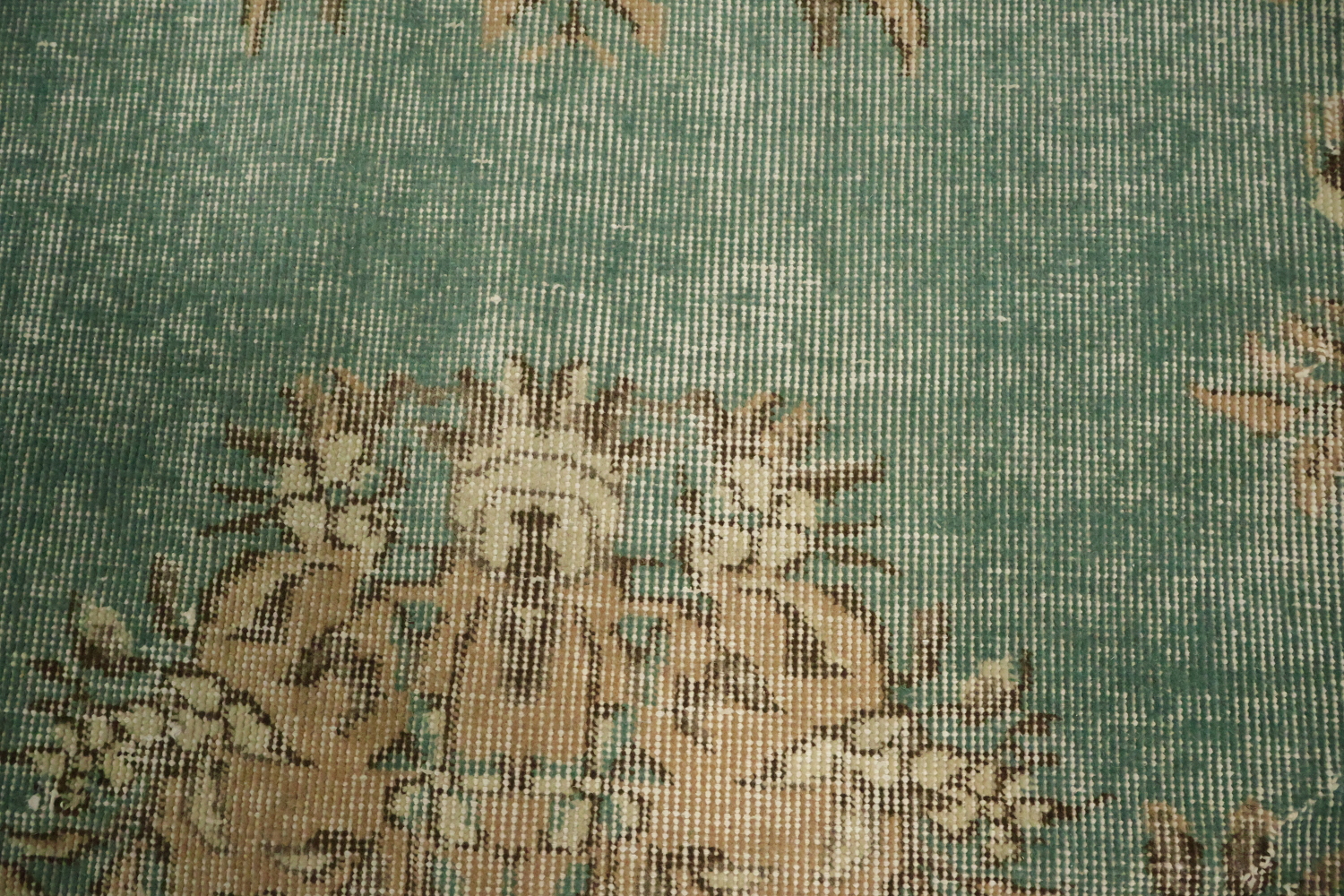 Rustic Charm Distressed Green and Beige Rug Design 7x10
