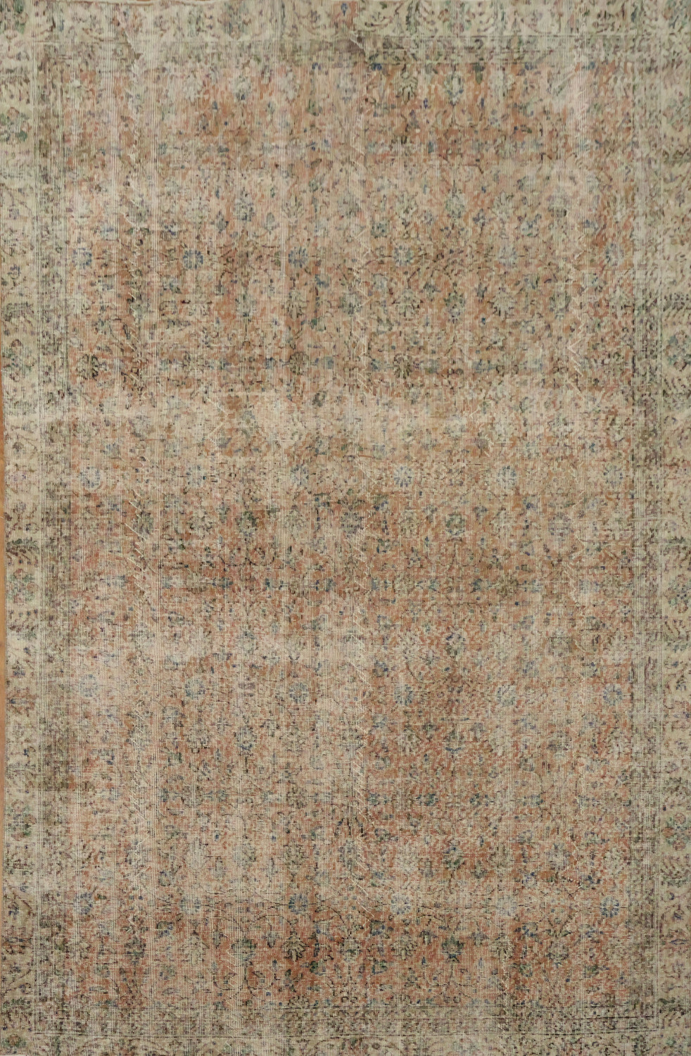 Vintage Charm: Distressed Exquisite Area Rug 6x9