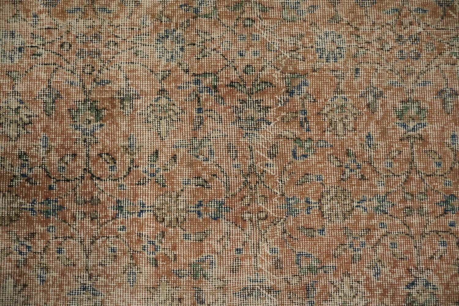Vintage Charm: Distressed Exquisite Area Rug 6x9