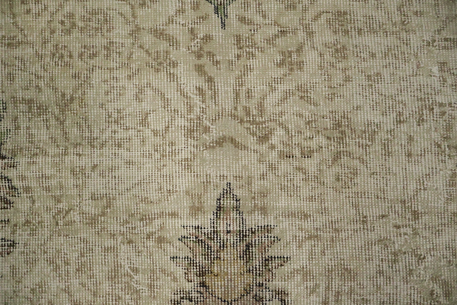 Distressed Timeless Charm Rug with Floral Medallions 6x9