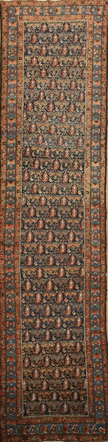 Vegetable Dye Wool Malayer Persian Runner Rug 3x13