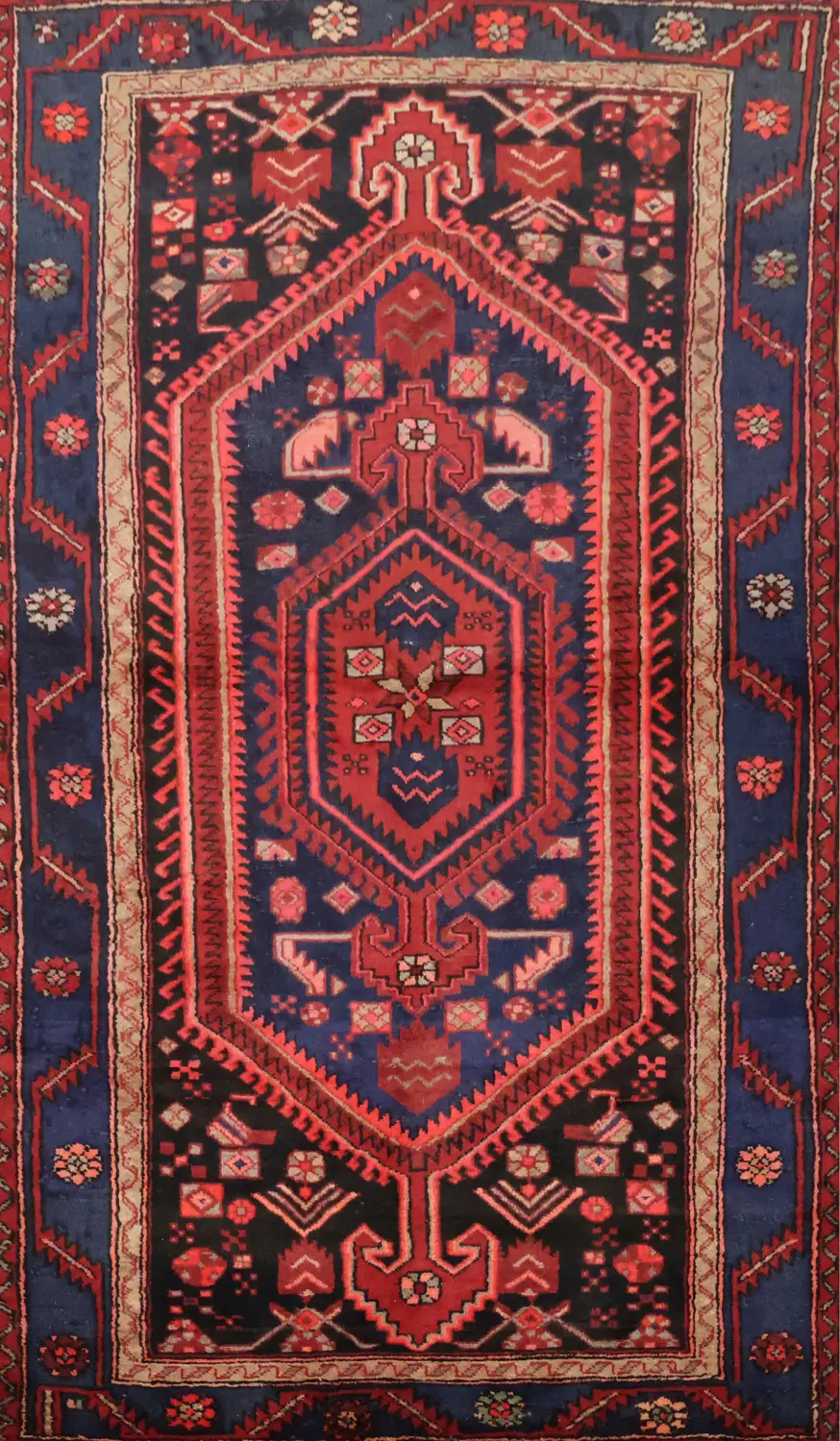 Hamedan Persian Wool Rug 4x7