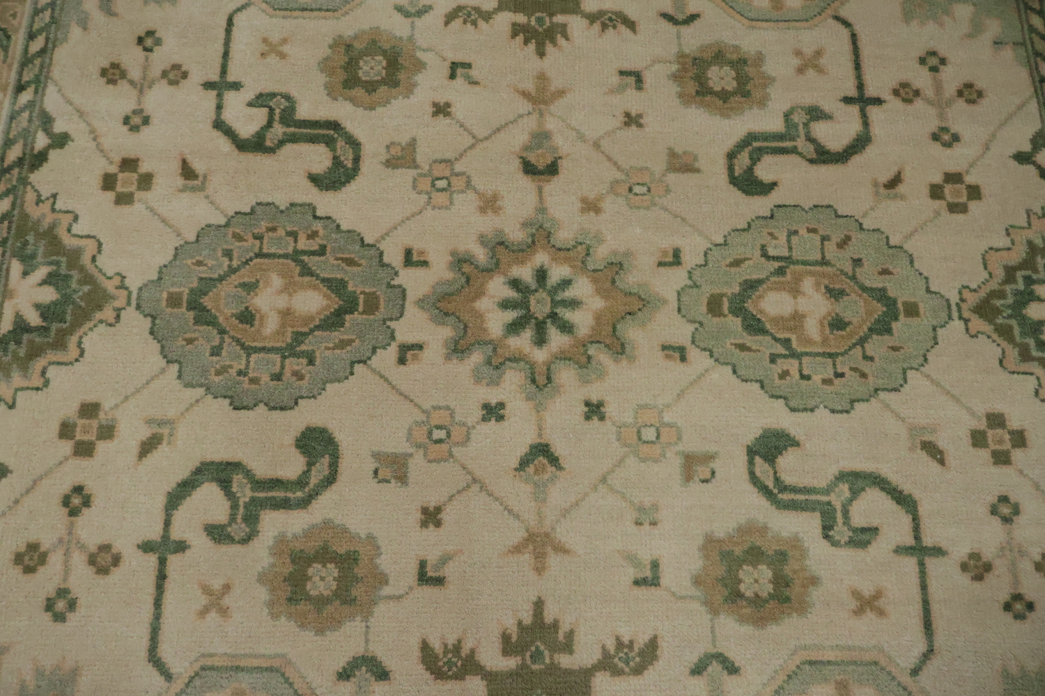 Traditional Beige and Green Rug with Artistic Patterns 9' x 12'