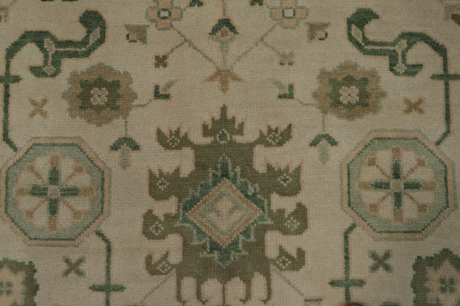 Traditional Beige and Green Rug with Artistic Patterns 9' x 12'