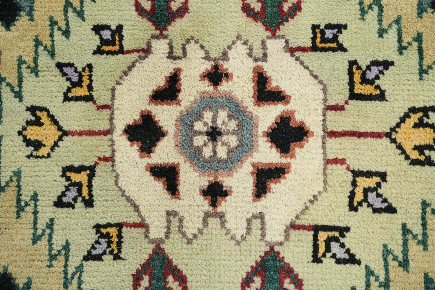 8'x10' Traditional Light Green South-western Rug with Vibrant Geometric Design