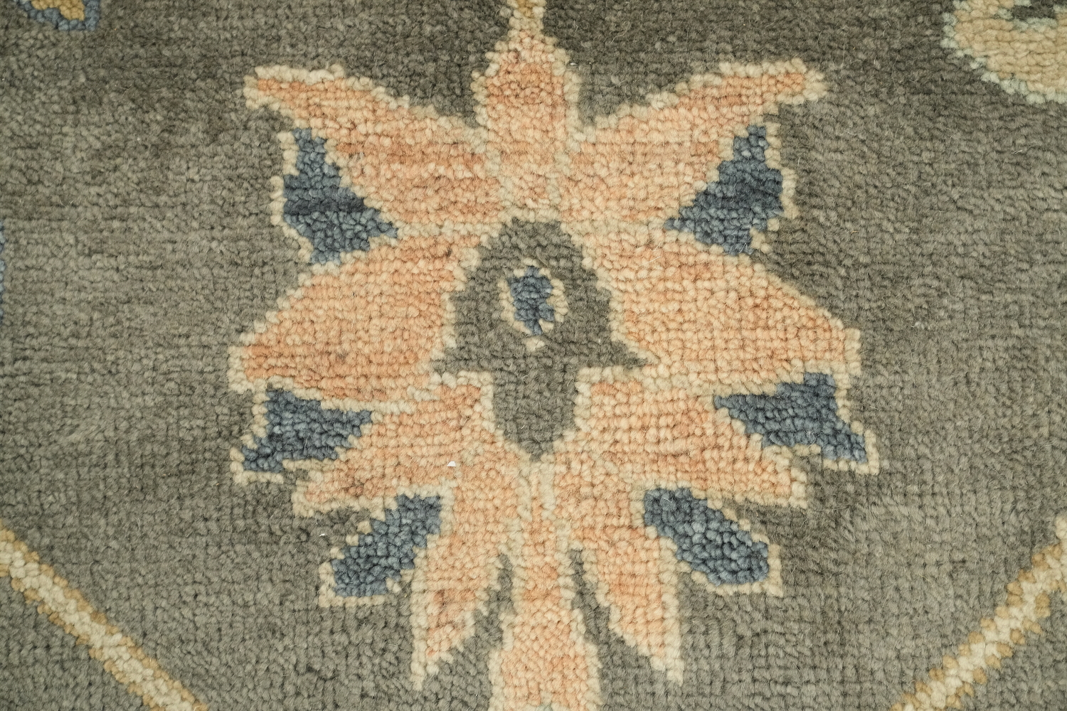 Traditional Beige and Grey Rug with Intricate Botanical Patterns 9x12 ft