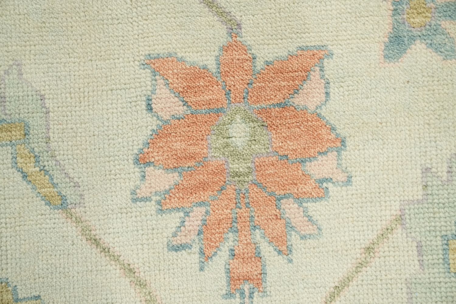 Mint Green Traditional Oushak Pastel Color Area Rug 9x12
