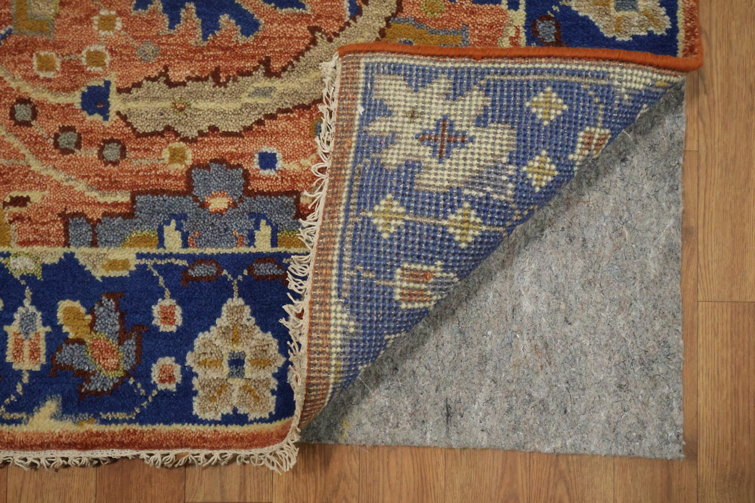 Intricate Floral Orange Rug with Vibrant Blue Border Accent 5'x7'