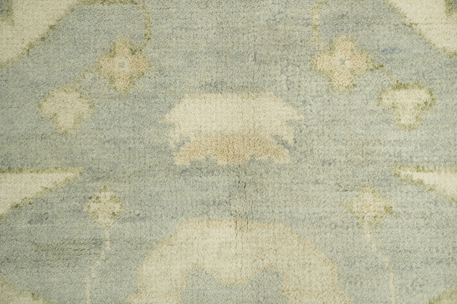 Elegant Cream and Blue Rug with Intricate Floral Pattern 8'x10'