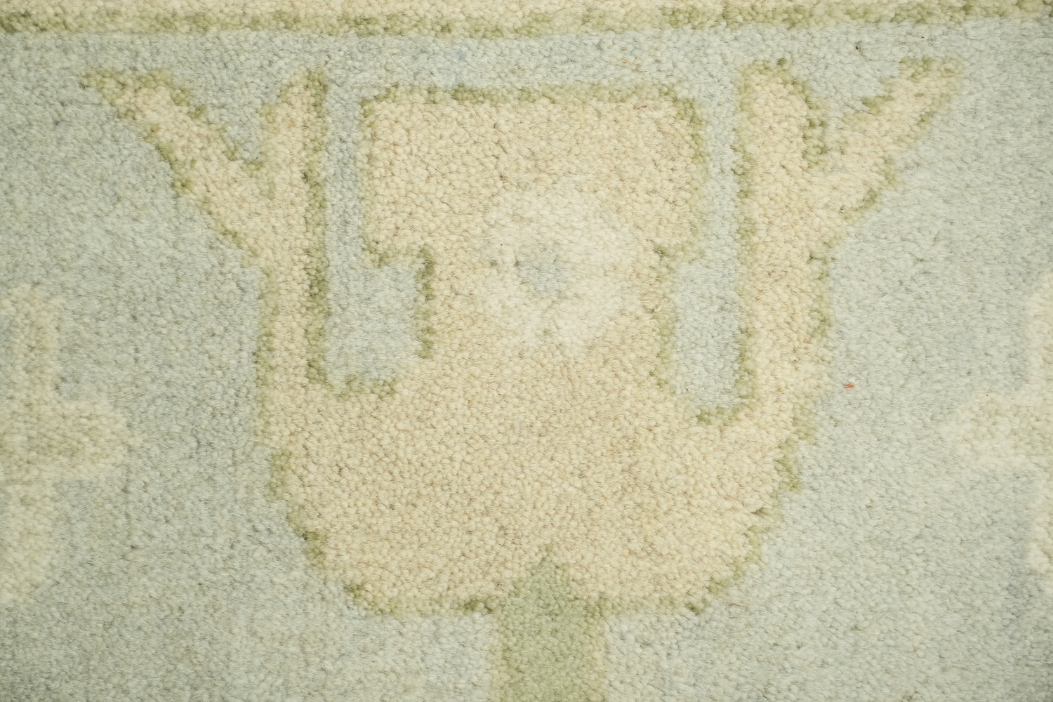 Elegant Cream and Blue Rug with Intricate Floral Pattern 8'x10'
