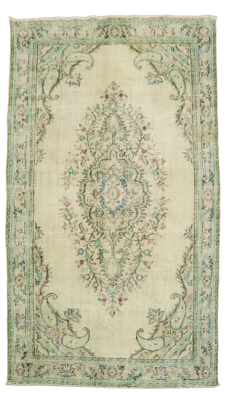 Anatolian Oriental Distressed Wool  Rug 5x9