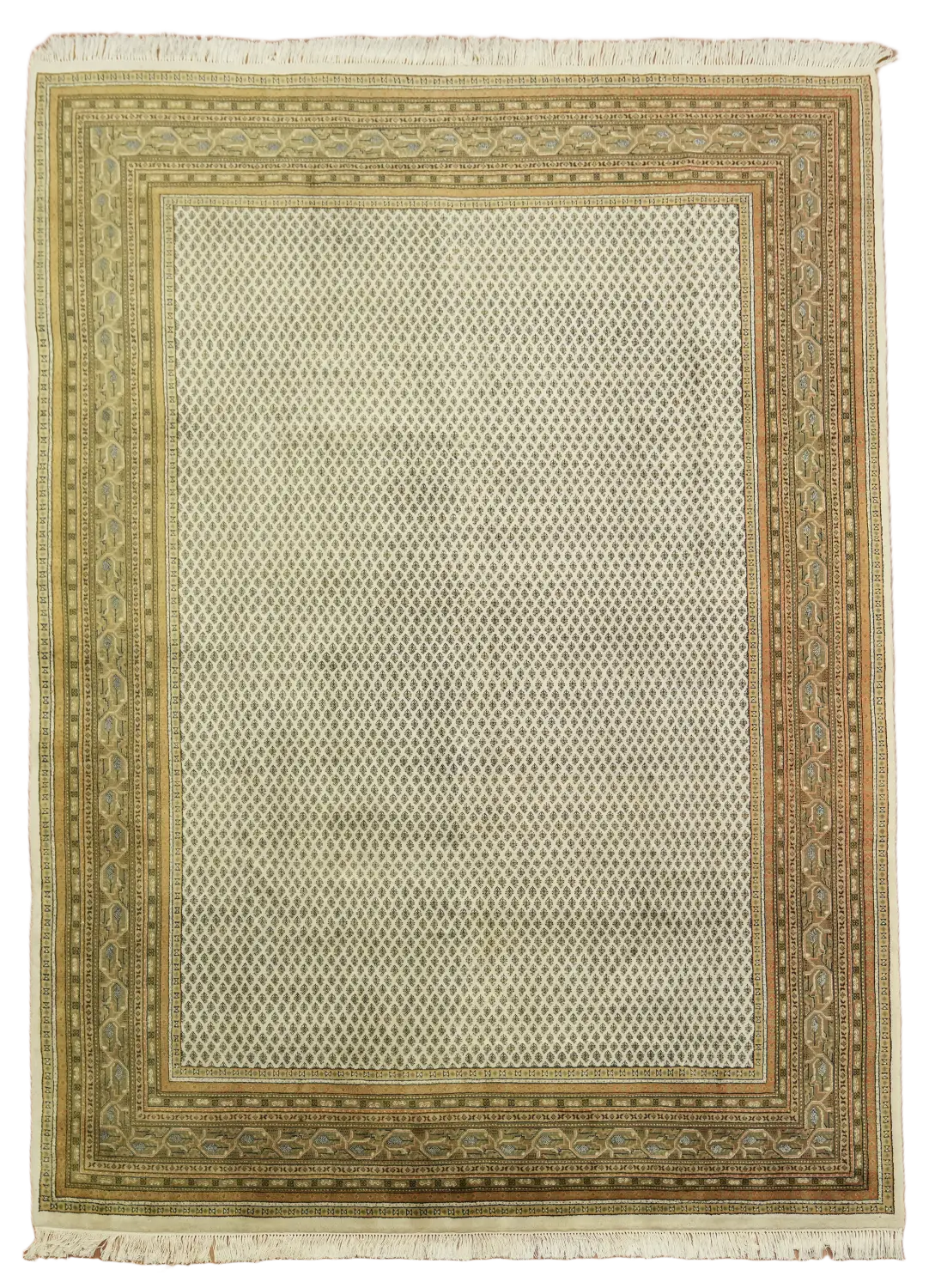 Botemir Oriental Wool Area Rug 8x11
