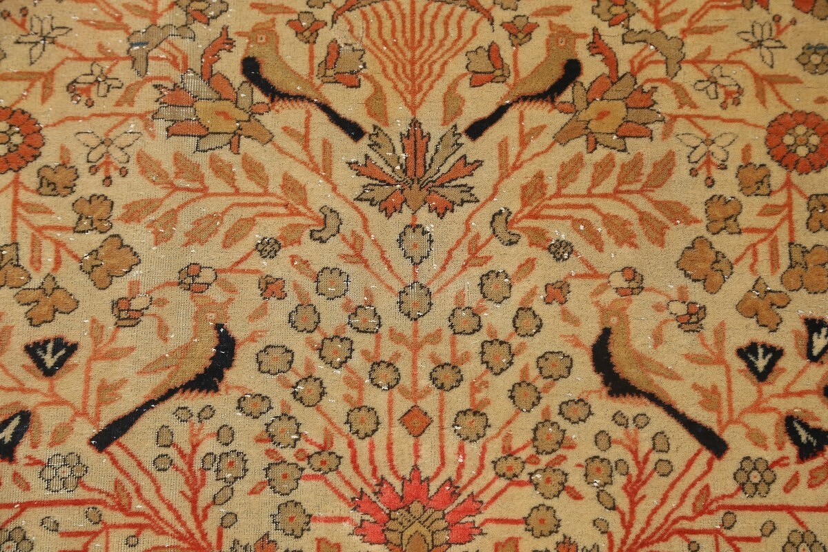 4x7 Kashan Mohtashem Persian Area Rug