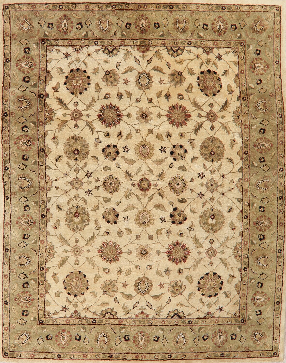 Floral Agra Oriental Area Rug 8x10