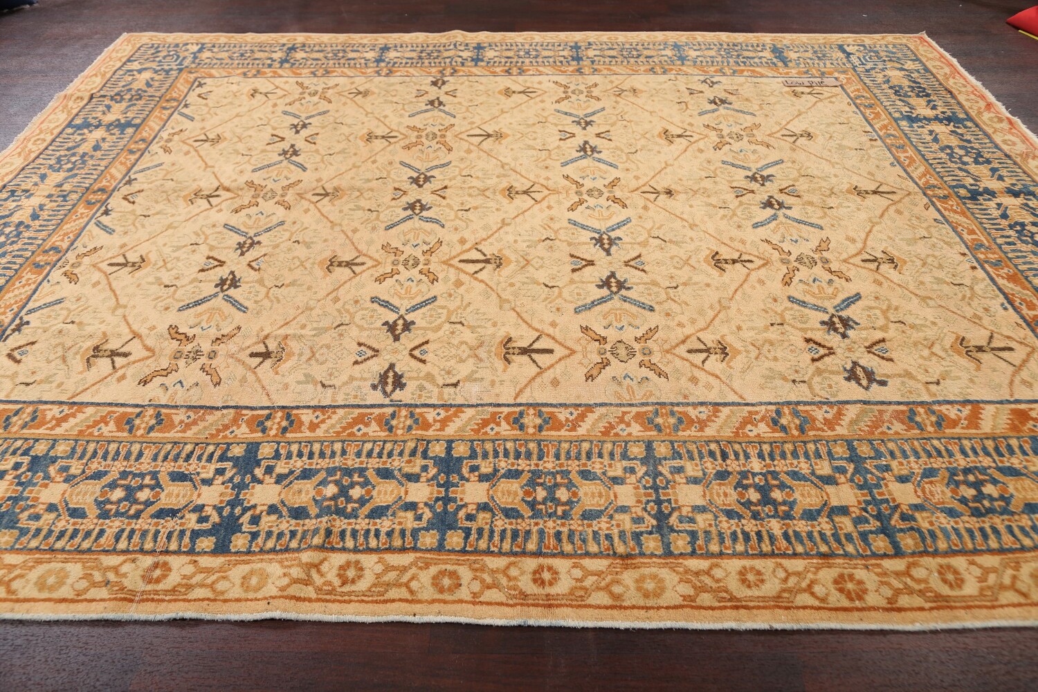 Antique 100% Vegetable Dye Ziegler Sultanabad Persian Area Rug 9x11