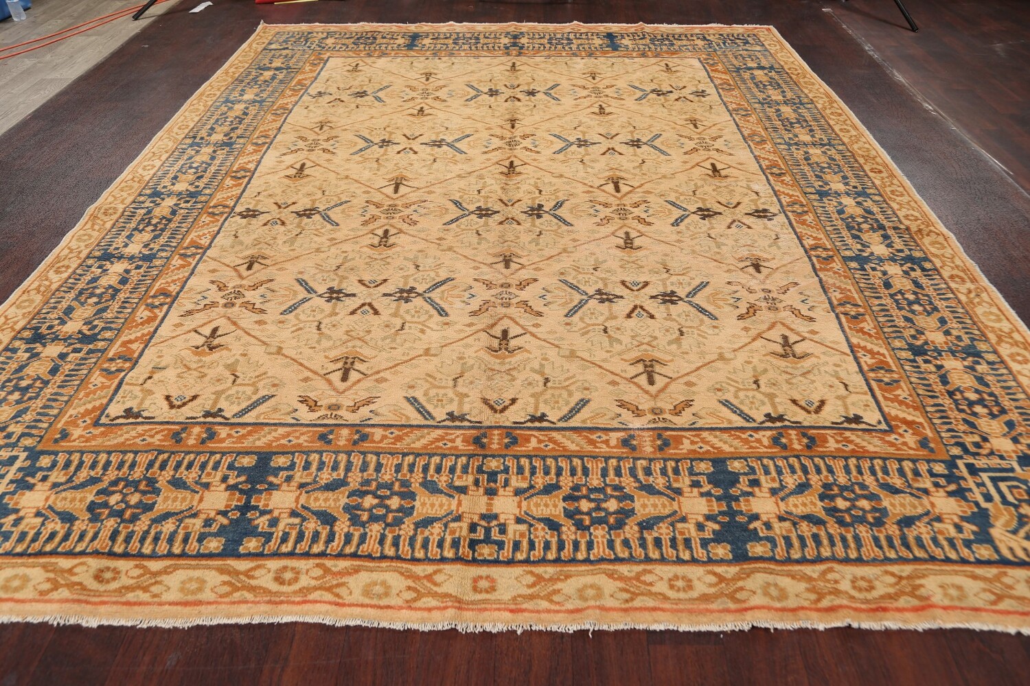 Antique 100% Vegetable Dye Ziegler Sultanabad Persian Area Rug 9x11