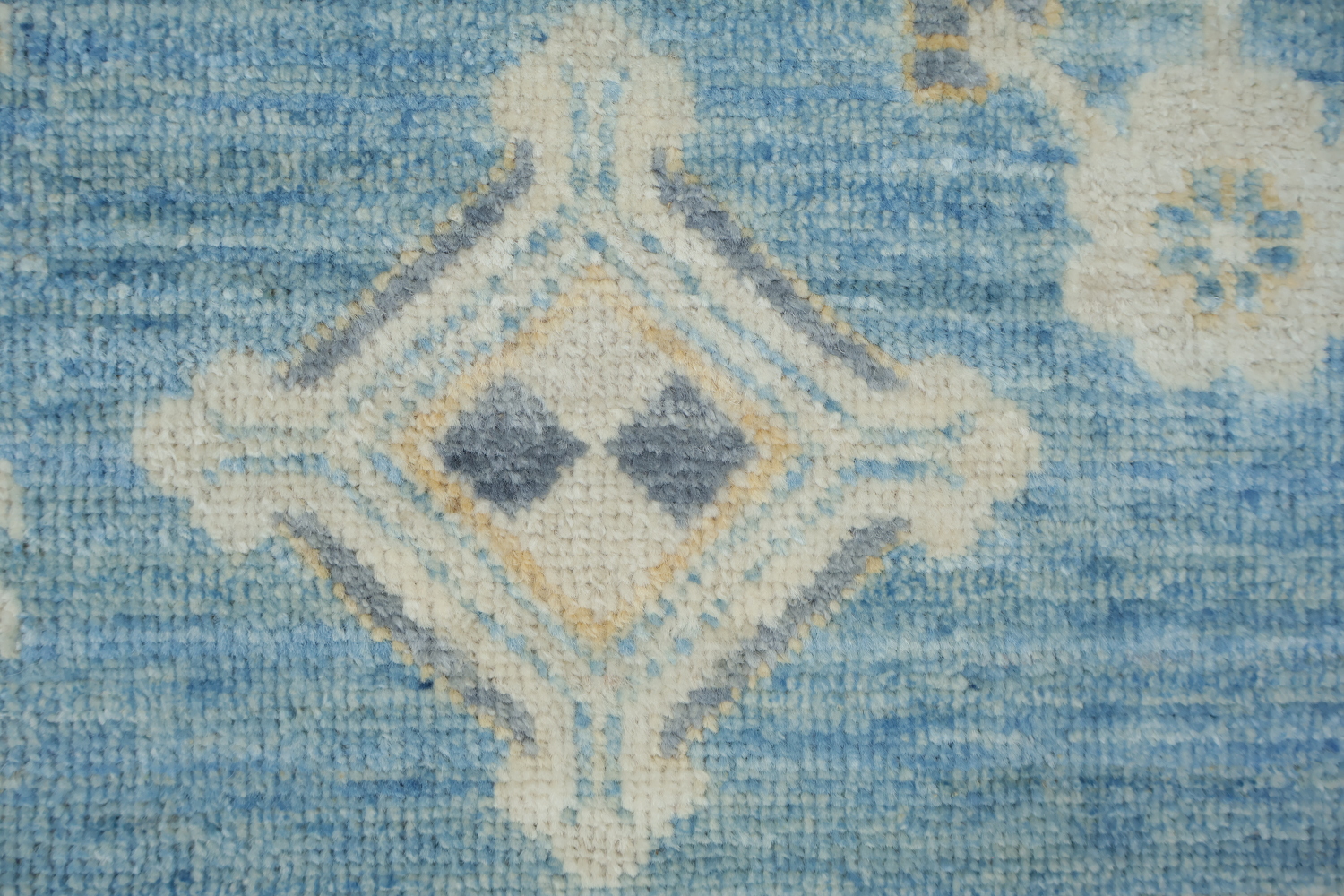 100% Vegetable Dye Khotan Oriental Area Rug 9x12