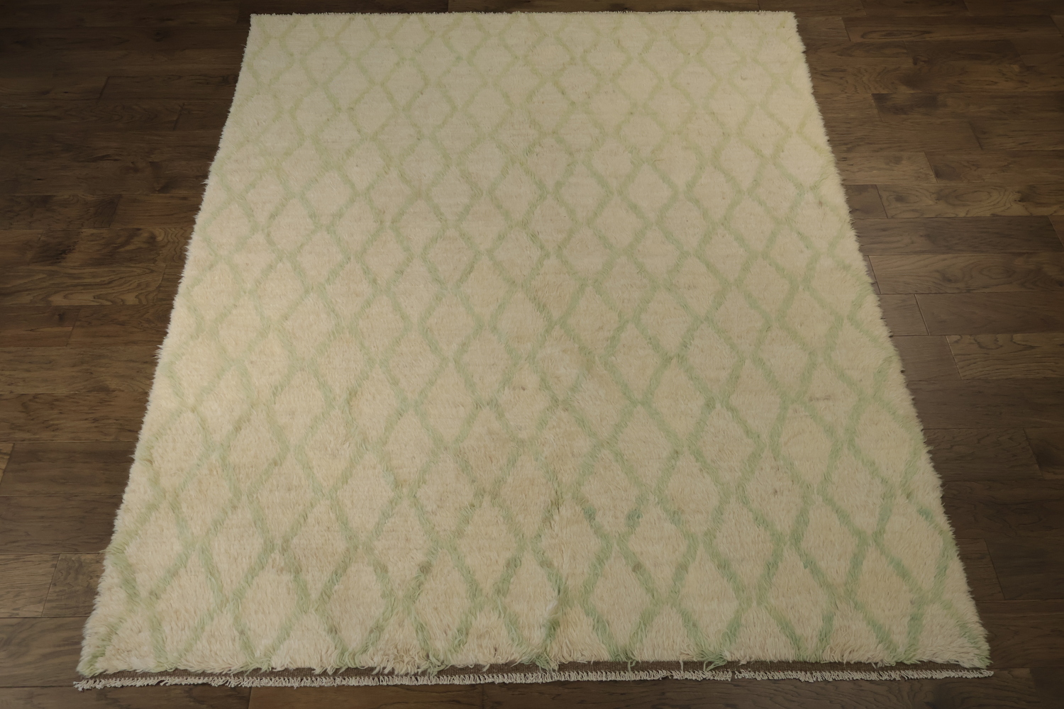 Trellis Moroccan Oriental Area Rug 7x9