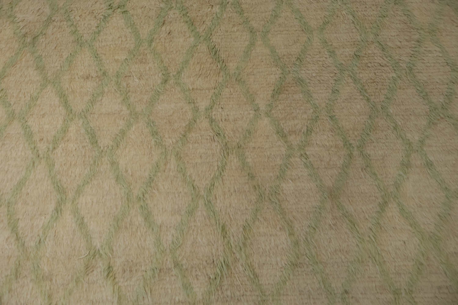 Trellis Moroccan Oriental Area Rug 7x9