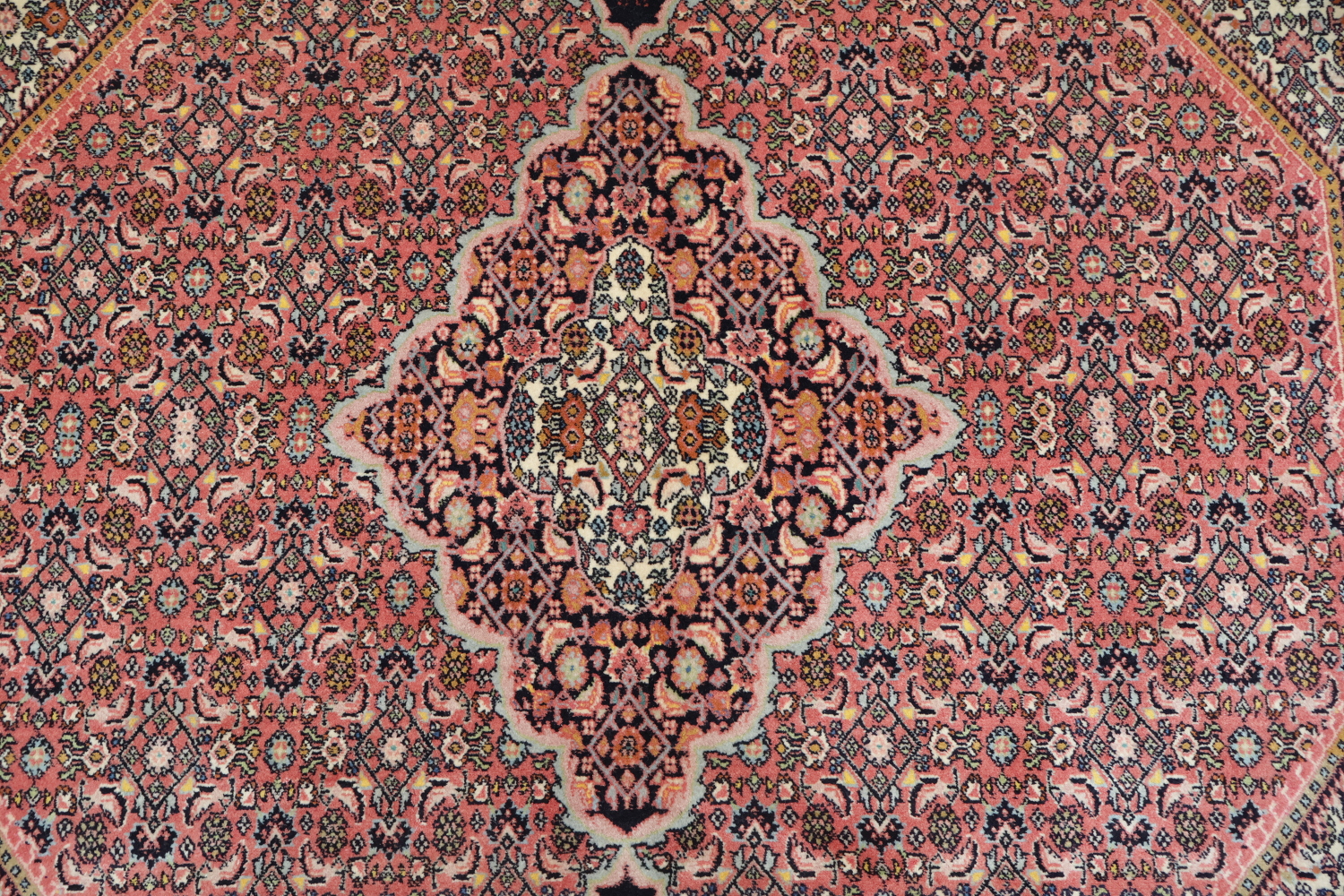 Geometric Vegetable Dye Pink Bidjar Persian Area Rug Featuring Detailed Floral Borders 7x10