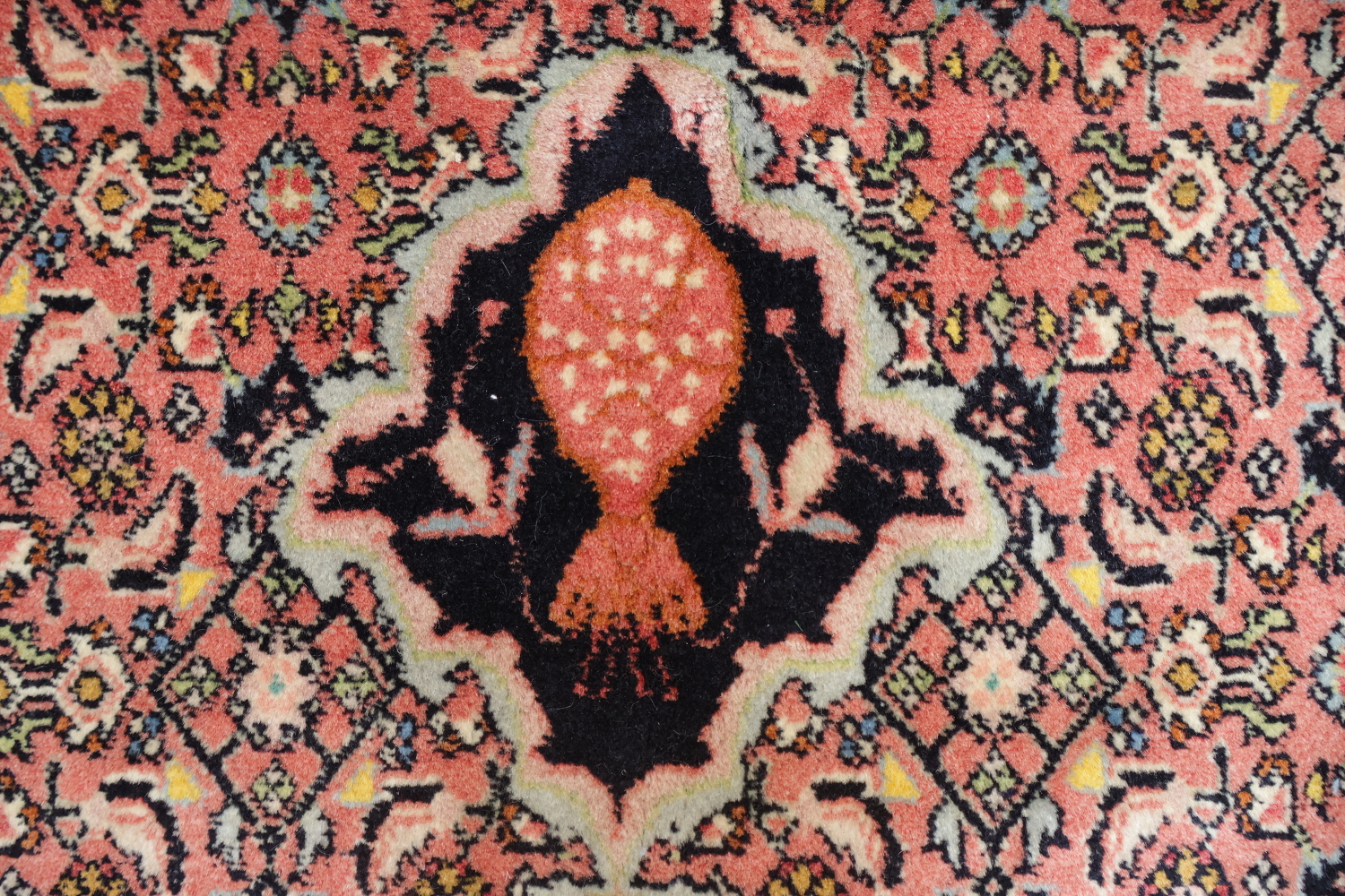 Geometric Vegetable Dye Pink Bidjar Persian Area Rug Featuring Detailed Floral Borders 7x10