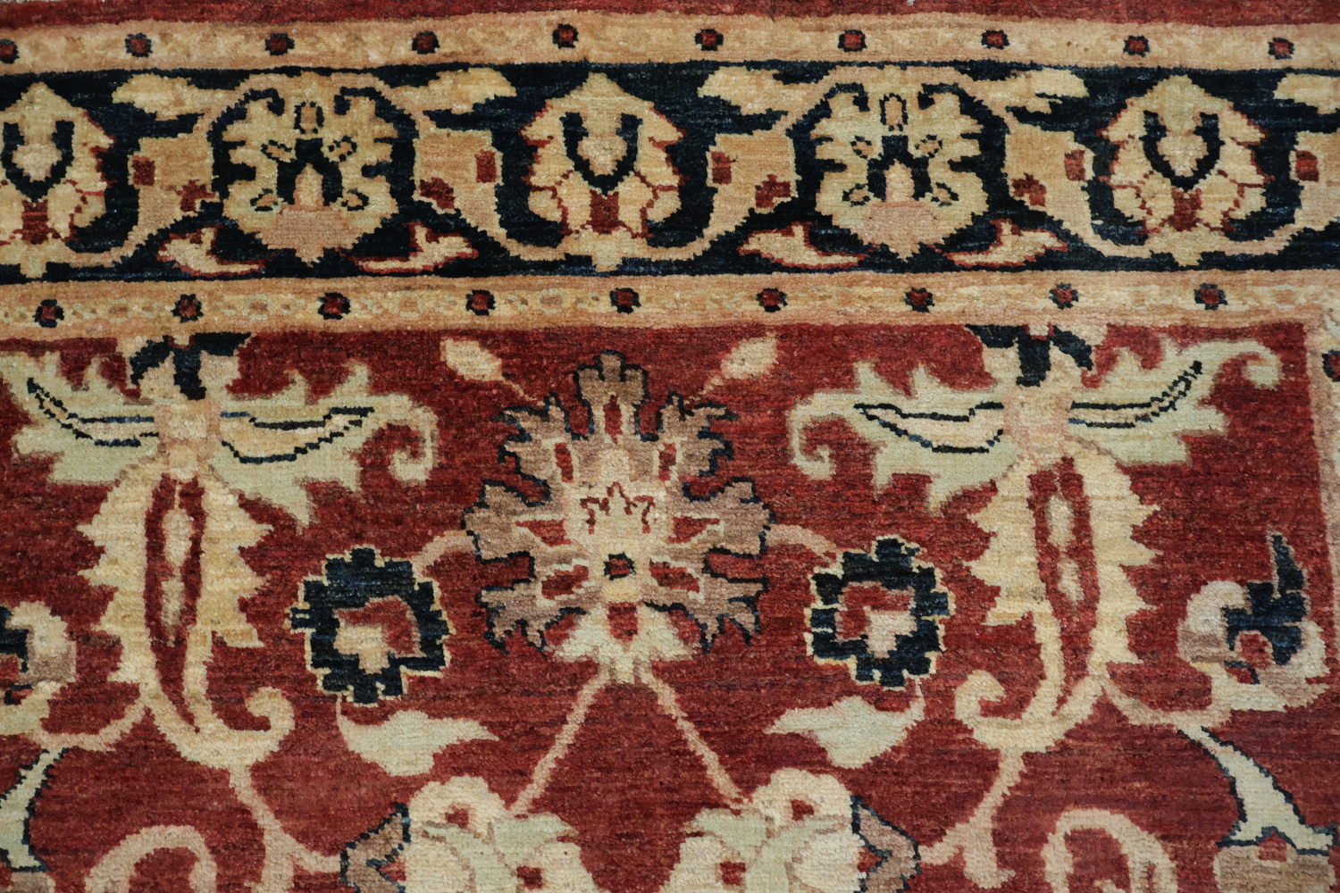 Floral Peshawar Oriental Area Rug 4x6