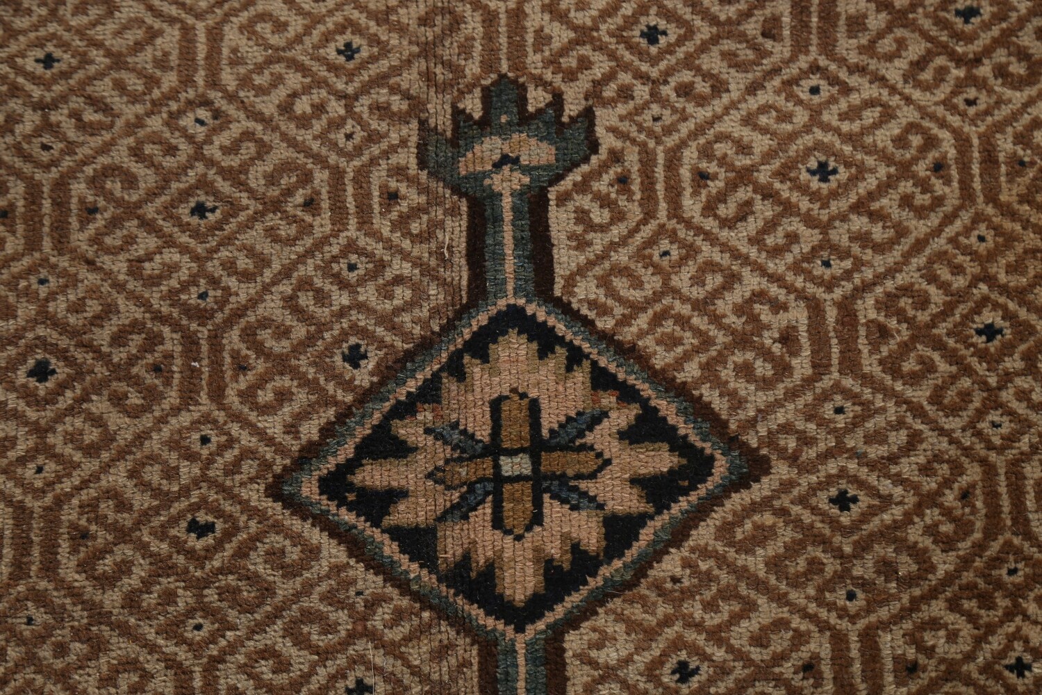 Pre-1900 Antique Vegetable Dye Bibikabad Persian Rug 10x16