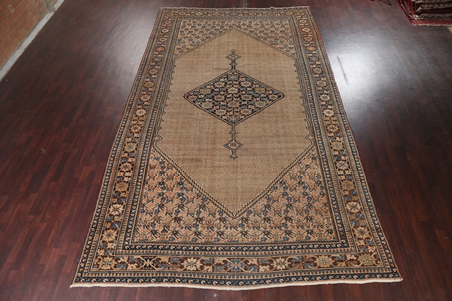 Pre-1900 Antique Vegetable Dye Bibikabad Persian Rug 10x16