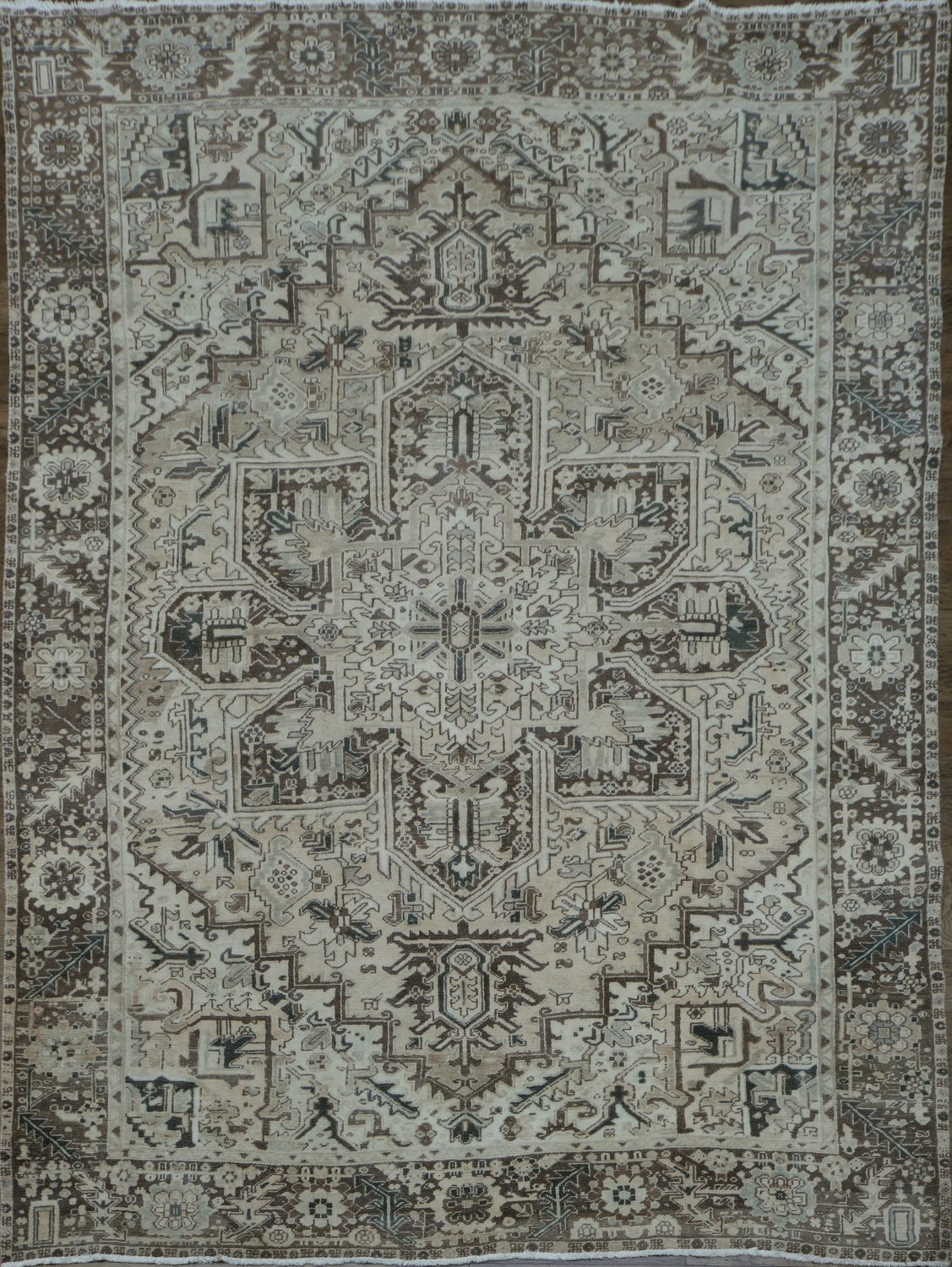 Vintage Muted Color Vintage Heriz Persian Area Rug 8x11