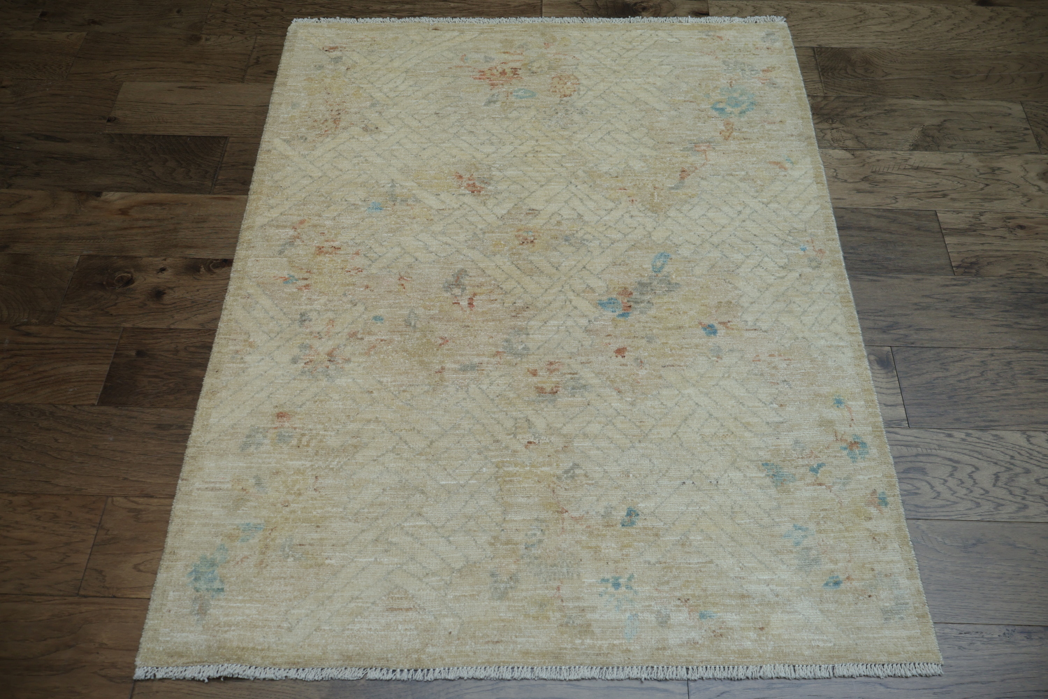 Muted Oushak Oriental Area Rug 4x5
