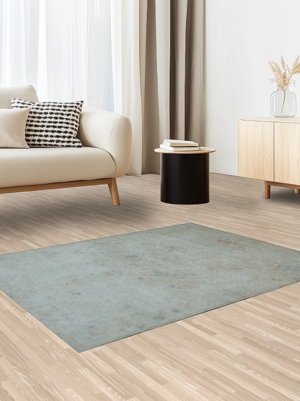 Muted Oushak Oriental Area Rug 4x5