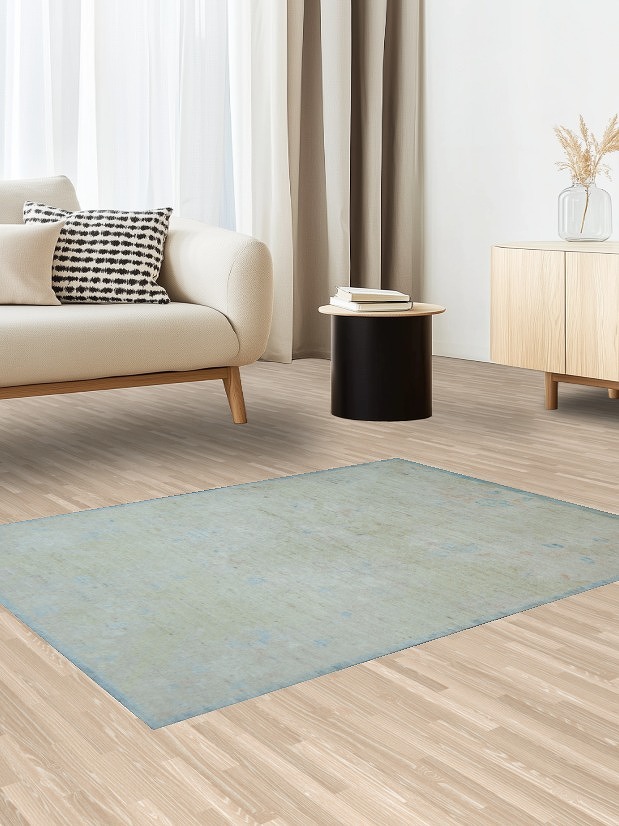 Muted Geometric Art Deco Oriental Area Rug 4x5