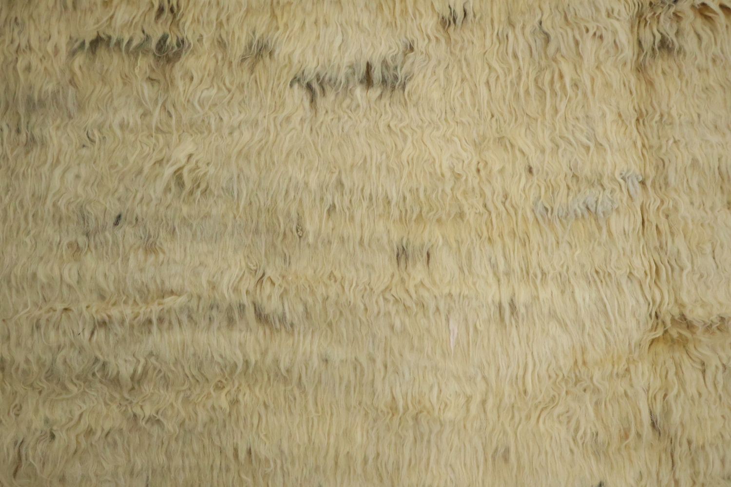 Tribal Wool Moroccan Area Rug 7x10