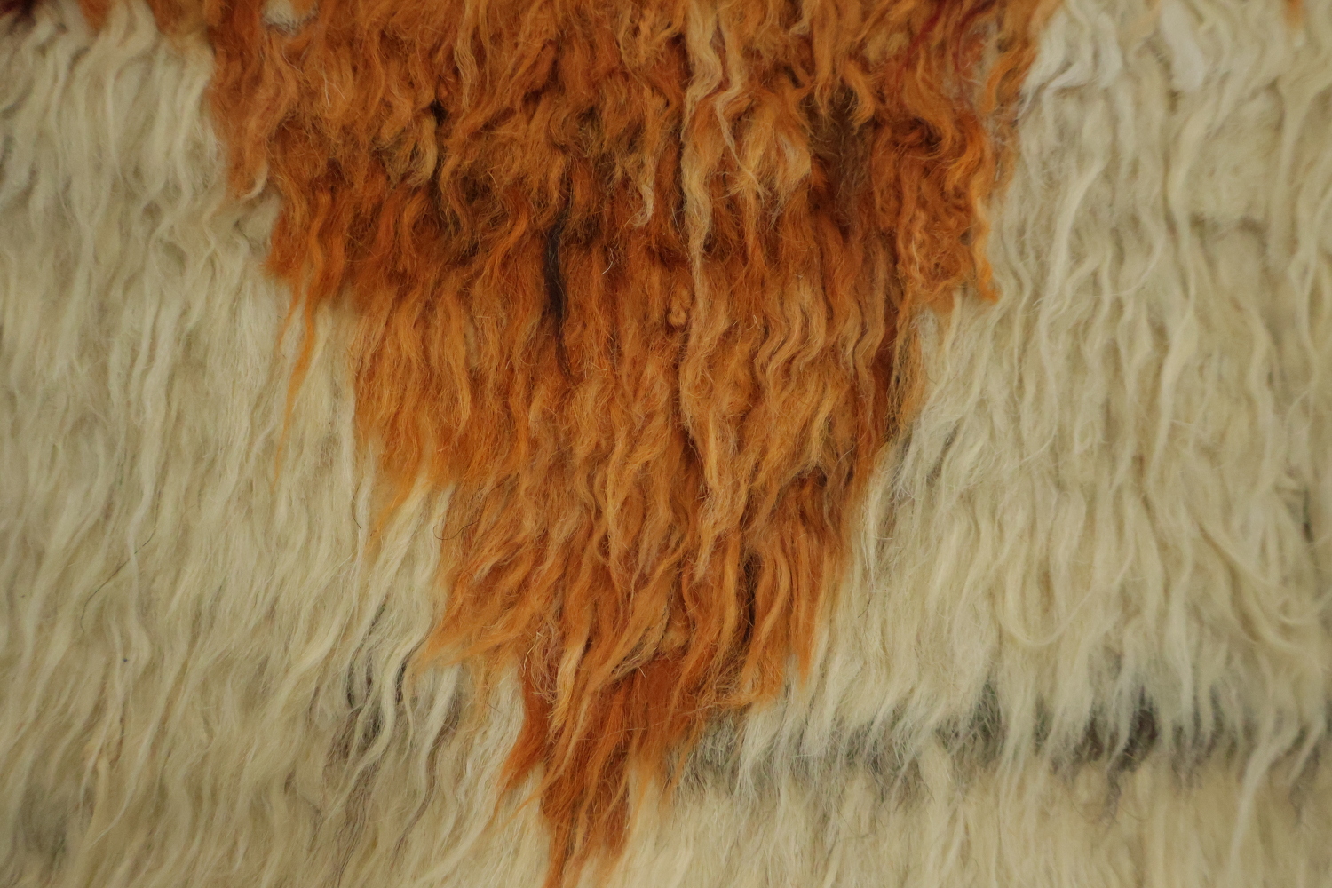 Tribal Wool Moroccan Area Rug 7x10
