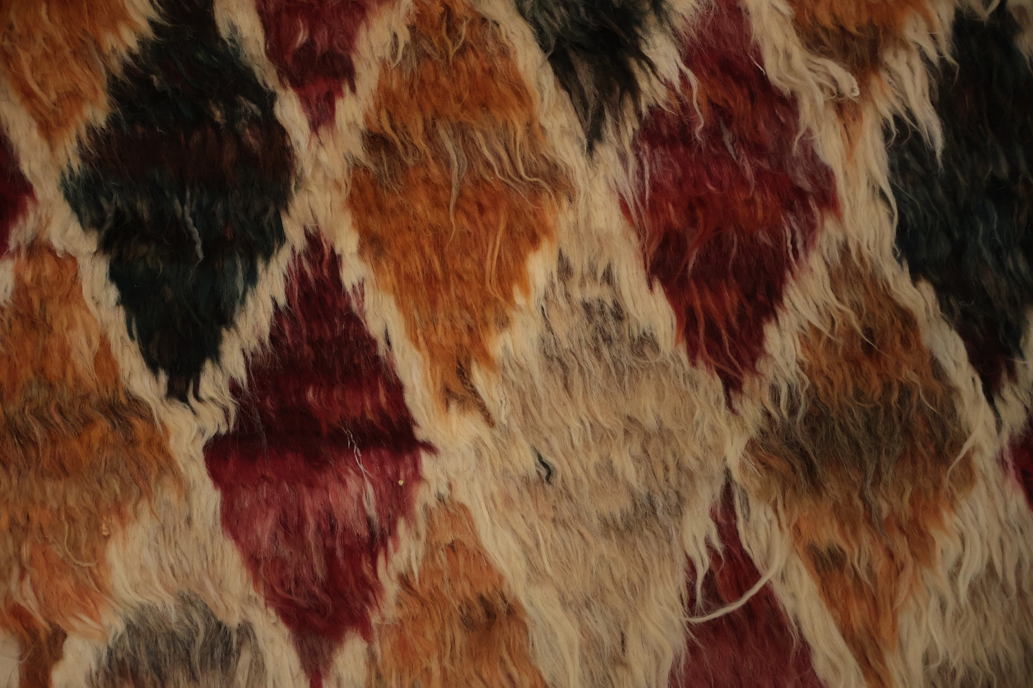 Elegant Trellis Moroccan Area Rug 6x10 for Timeless Interiors