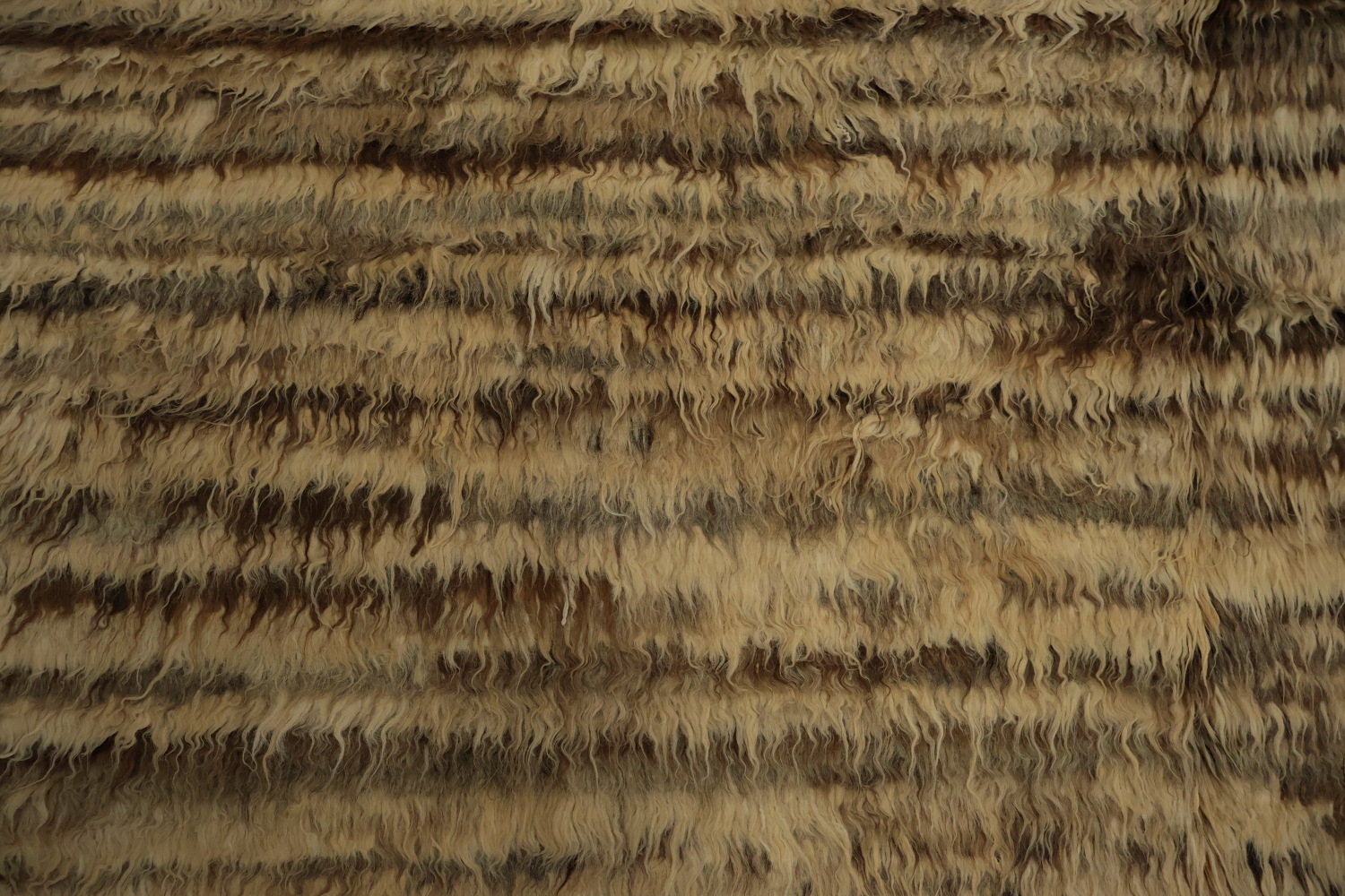 Neutral Tones Cozy and Textural Moroccan Oriental Area Rug 6x8