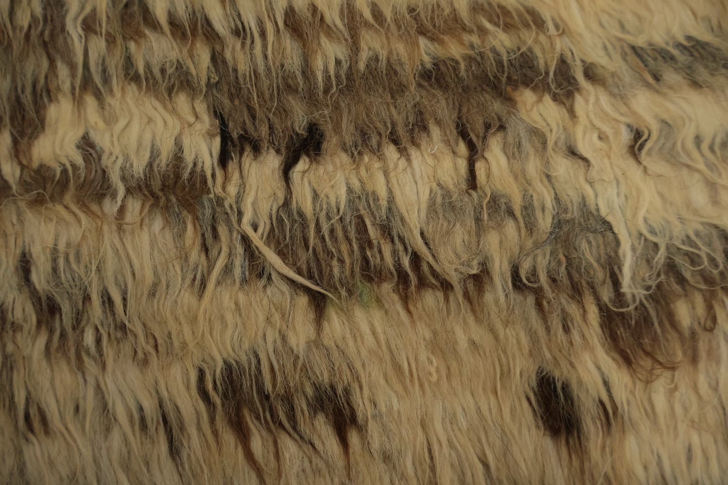 Neutral Tones Cozy and Textural Moroccan Oriental Area Rug 6x8
